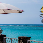 Cruise Destinations: The Beautiful Waterfall World of Ocho Rios, Jamaica