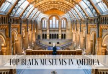 Top Black History Museums In America