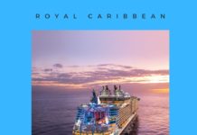 Royal Caribbean Amplified Ships